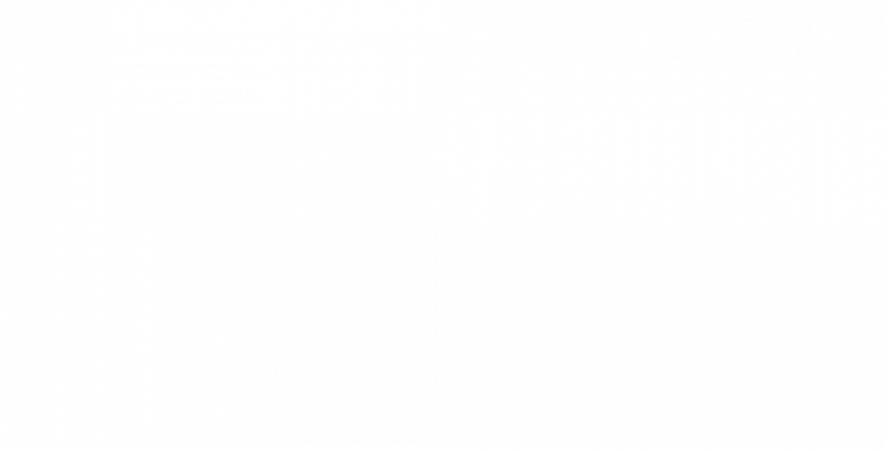 Microsoft partner